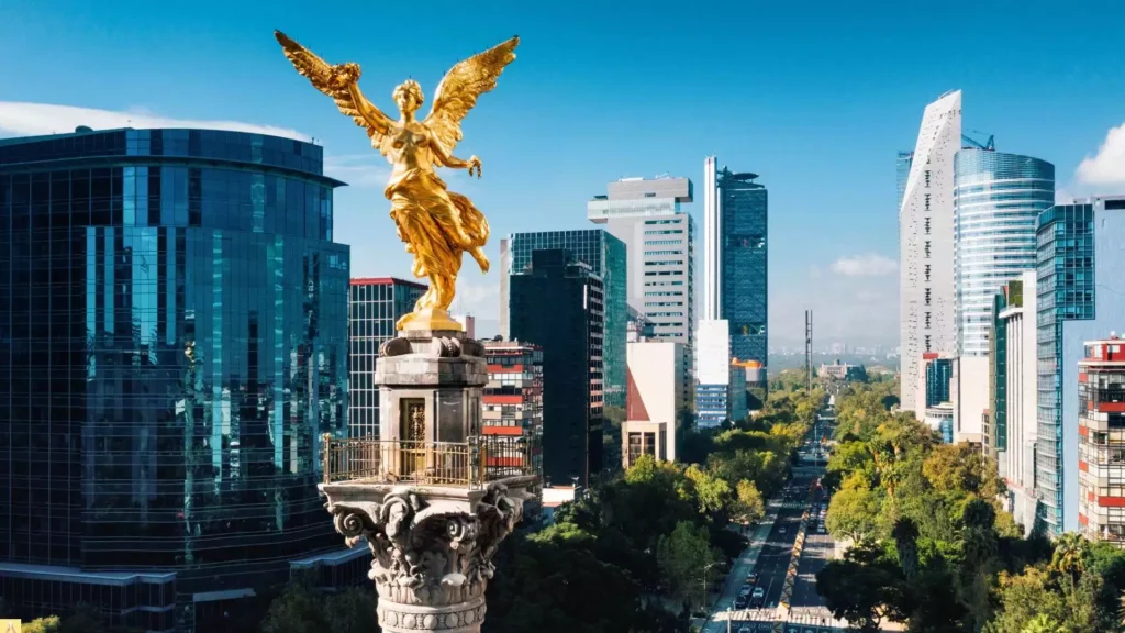 administración de google ads CDMX